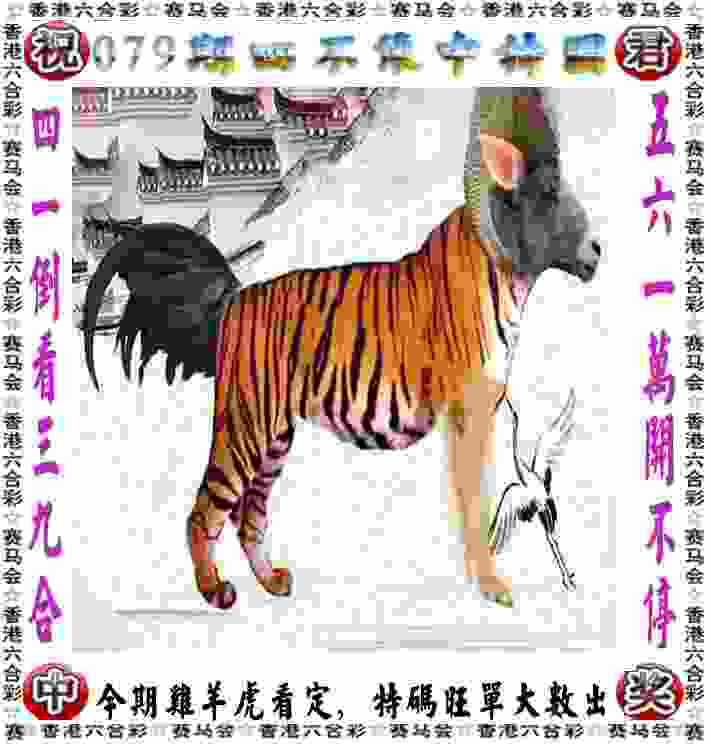 文一男篮签约宝岛MVP后卫 新赛季最后一笔引援